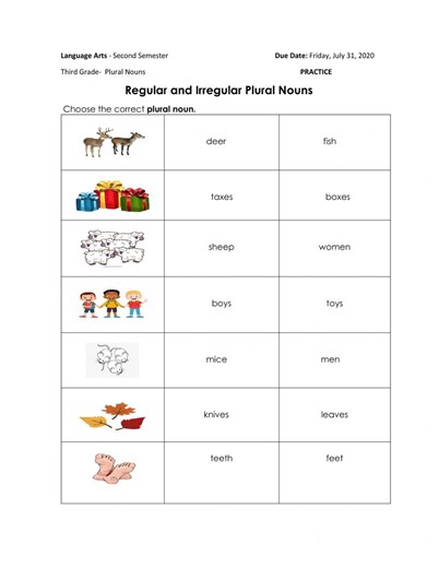 Regular and Irregular Plural Nouns worksheet