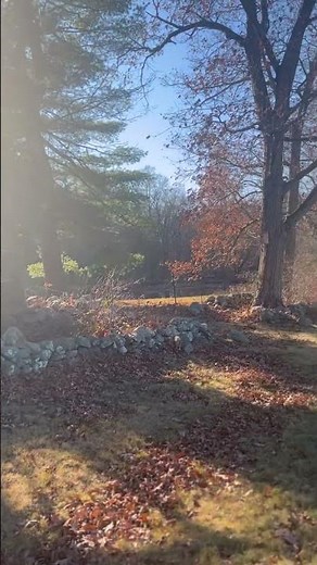 You and Tequila Live Version-Kenny Chesney #kennychesney #country #hit #hotcountry #shorts