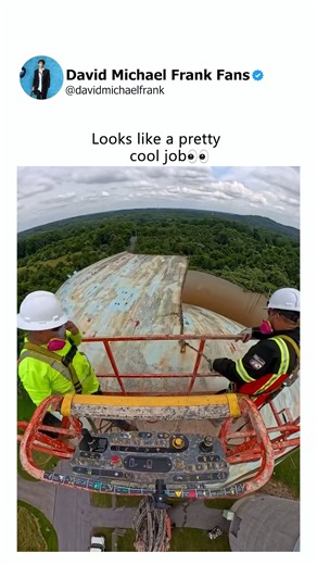 It looks like that thing is bound to be destroyed | David Michael Frank Fans