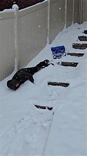 Snow Day! 3 Funniest Sledding Fails 😂| @TheBozzCrew