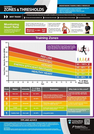 Training Zones & Thresholds | Laminated Home & Gym Poster | FREE Online Video Training Support | Size - 841mm x 594mm (A1) | Improves Personal Fitness