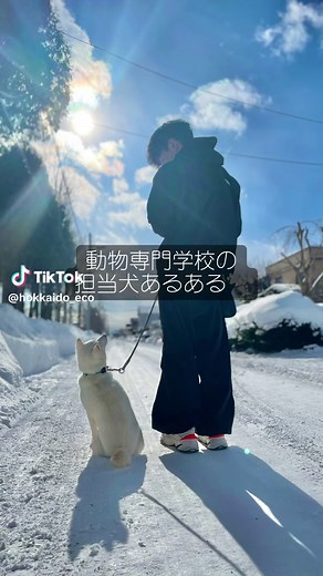 動物専門学校生の日常と担当犬あるある