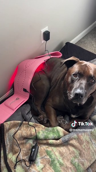 Belt Extender & USB Adapter for Lifepro LED Therapy