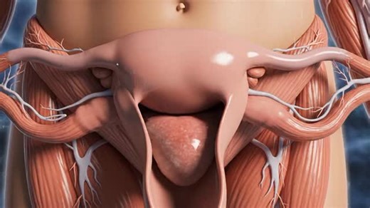 White Discharge period First day painfull process inside view #period #process #human #anatomy #foryou | Doctor Alia