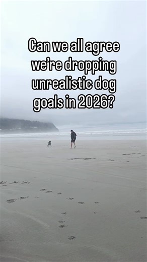 Can we all agree we’re leaving this in 2025? The pressure, the guilt, the impossible highlight reel standards dog owners stack on themselves like a circus act without the fun music. You’re not alone if you’ve ever set a training goal on January 1st, meant it with your whole chest, and then immediately your dog had a big dramatic moment on your walk. Suddenly you’re questioning your training, your timing, your treat pouch choices, and the general life decisions that led you here. Spoiler: you did