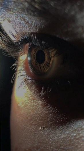 2 Chainz and Wiz Khalifa - We Own It (Lyrics)