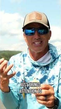 What color baits should you use in the spring?