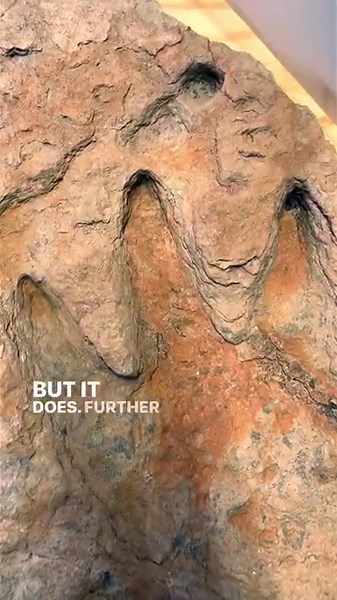 Proof that humans and dinosaurs roamed the earth TOGETHER? #globalflood #dinosaurs #evolution #creationism | Lost World Museum