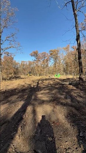 CAT D3 Pushing Trees