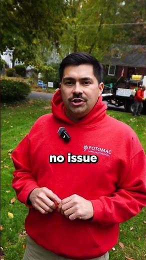 How to Fertilize Your Lawn Properly