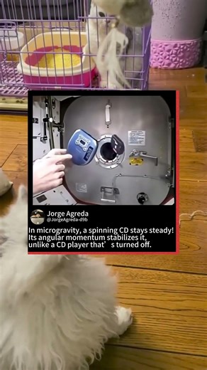 Microgravity Magic — The Spinning CD Stabilizes! 🪐 #viral #science **