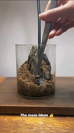 “Ever wondered how to make a tiny moss micro-world at home? 🌱✨ Watch this DIY miniature landscape come alive! Perfect for your desk or as a unique gift. 💚 💖 If you enjoy my creations, send Stars to support my page and help me make more amazing content like this! Your support means the world! 🌟 Follow my page for more micro-garden DIYs, moss art, and creative miniatures! 🌿 #MiniatureGarden #MossMicroLandscape #DIYMicroGarden #TinyGarden #MicroLandscape #MossArt #StarsSupport #MiniGardenDIY #