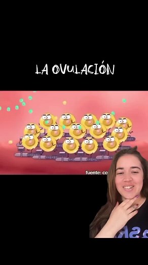 Ciclo Menstrual: La Importancia de la Ovulación