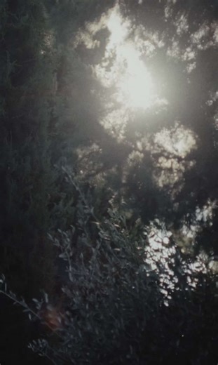 Room with a View at Colombe d'Or: Luxury Experience