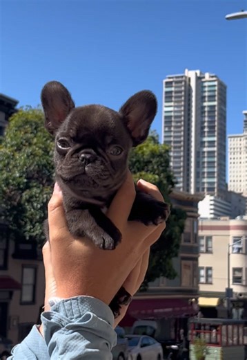 Mabel's Amazing Growth Journey