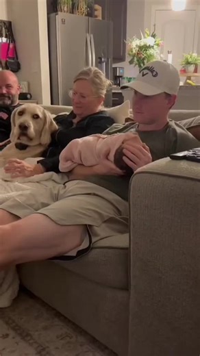 Understanding Dog Attention Needs for Better Behavior