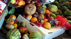 Waste not – DW – 08/22/2019