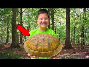 We Found a GIANT Turtle Shell in the Woods!