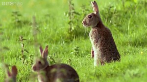 The Worst Ideas That Shaped History