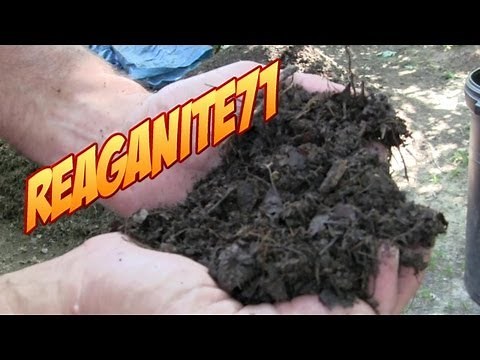 Grass to Garden Soil in 14 Days! Drunken Composting Using Beer, Cola, & Ammonia!