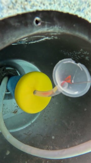 Leaking Light Conduit