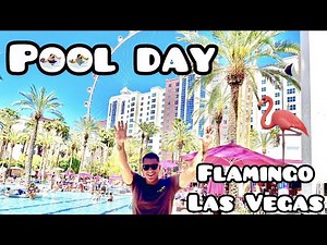 Flamingo Las Vegas Go Pool🦩and day Club - Vegas Party Pool