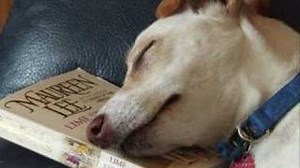 Inner Circle - Book of Rules