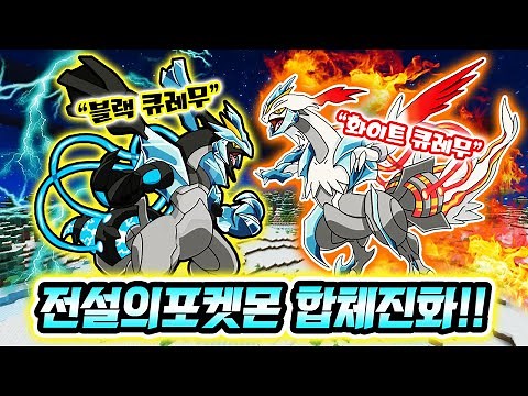 초전설 *블랙큐레무&화이트큐레무* 등장!! 합체진화하는 전설이라니!! [포켓몬 미션생존기 시즌4] [사이]