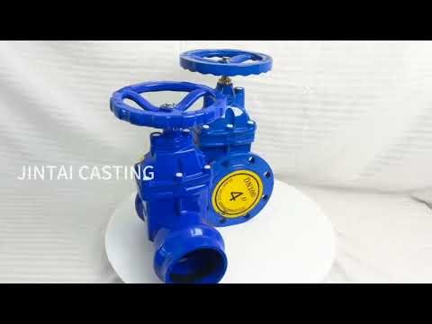 Double-Flanged Gate Valve VS Double-Socket Valve