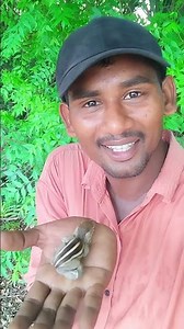 దారి తప్పిపోయిన ఉడత పిల్ల 🐿️||#BabySquirrel #SquirrelRescue #WildlifeRescue