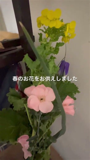 【ねこのロデム】今日はロデムの月命日。早いもので9ヶ月経ちました。忘れて無いからね。#ねこのロデム #トカイナカで猫と暮らす #月命日 #shorts