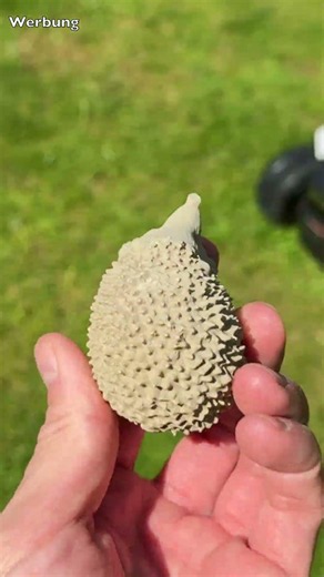 Mammotion robotic lawn mower is hedgehog safe
