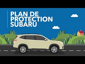 Plan de protection Subaru