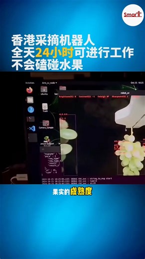 智慧採摘水果機器人。 在自動判斷水果尺寸與成熟度後再進行採摘(香港) @小紅書：AI造物局 http://xhslink.com/m/3K4HceNOCAb | Smart Robots 智慧機器人