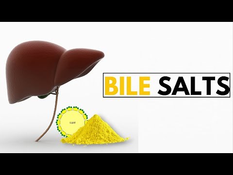 The Shocking Truth About Bile Salts and Your Digestive Health!