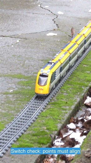 Snowplow Trainee vs the Switch Trap! Can the Fast Line Stay Open?