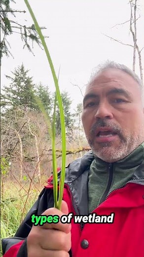 How to Turn Unbuildable Land Into 10x Profit