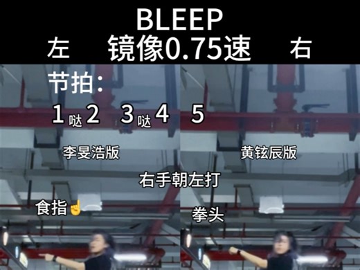 【Stray Kids】BLEEP慢速教程黄铉辰/李旻浩版