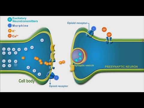Opioids animation video