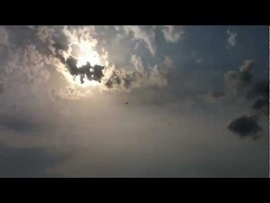 When Barn Swallows Attack!