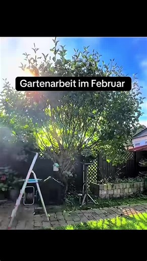 Gartenarbeit im Februar: Tipps für Gärtner