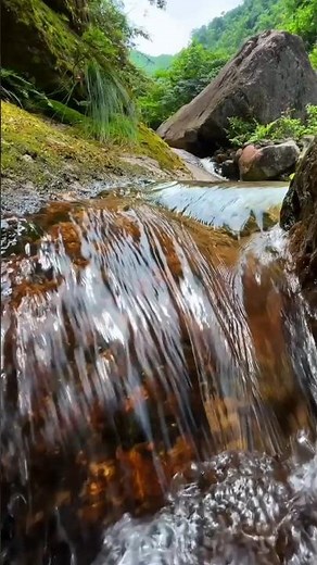 Gentle cascade stream flowing, mossy rocks, greenery, scenic view, camping nature / #shortvideo
