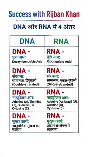 Difference between DNA and RNA | dna vs rna | Difference between DNA and RNA | #dna #rna #dnavsrn...