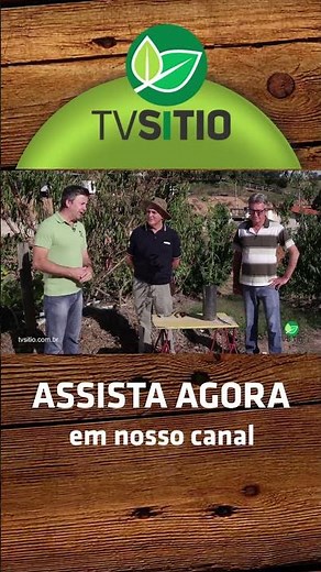 Como enxertar o pessegueiro