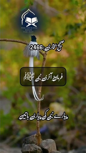 ‎Hadees Sharif 💞🌺💞 | Hadees Mubarak | Best Hadees | Hadith Of Prophet Muhammad | Hadees Nabvi #short