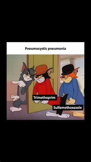 Classify Rx on Instagram: "📝 Cotrimoxazole (TMP-SMX) for Pneumocystis jirovecii Pneumonia (PCP) 📍 Fungus that behaves differently - P. jirovecii is classified as a fungus but lacks ergosterol in its cell membrane (unlike other fungi) - antifungals targeting ergosterol (azoles, amphotericin B) are therefore ineffective 📍 Cotrimoxazole targets folate synthesis - TMP-SMX blocks dihydrofolate reductase and dihydropteroate synthase in P. jirovecii - disrupts DNA synthesis, making it highly effecti