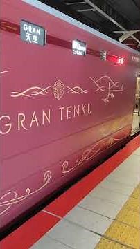 (南海電鉄)GRAN天空を見学