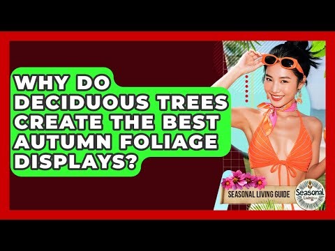 Why Do Deciduous Trees Create The Best Autumn Foliage Displays? - Seasonal Living Guide