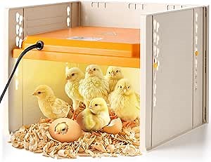 Chick Brooder, Chicken Brooder Heating Plate for Chicks with Adjustable Height and Angle