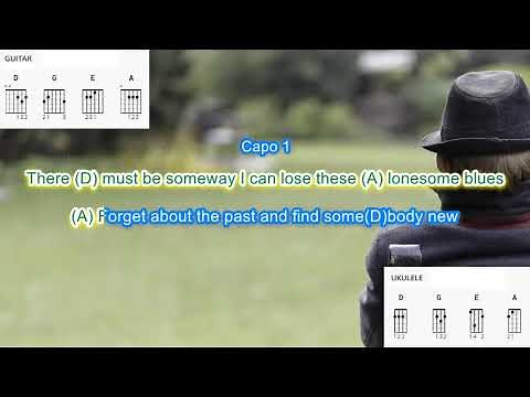 Oh Lonesome me (Capo 1) by Don Gibson play along guitar karaoke with scrolling chords and lyrics